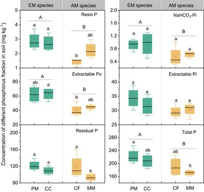 Divergent soil P accrual in ectomycorrhizal and arbuscular mycorrhizal trees: insights from a common garden experiment in subtropical China